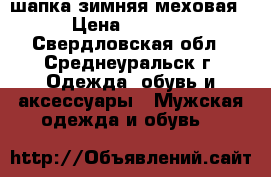 шапка зимняя меховая › Цена ­ 1 500 - Свердловская обл., Среднеуральск г. Одежда, обувь и аксессуары » Мужская одежда и обувь   